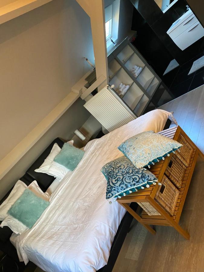 Cosy Studio Met Zwembad Beringen Exterior foto