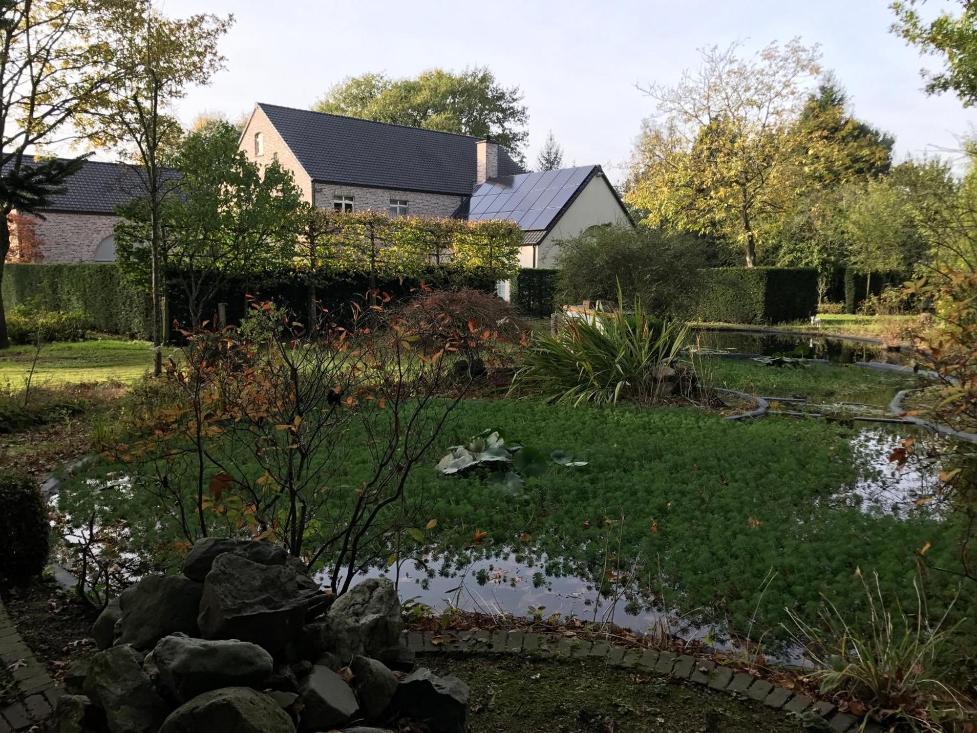 Cosy Studio Met Zwembad Beringen Exterior foto